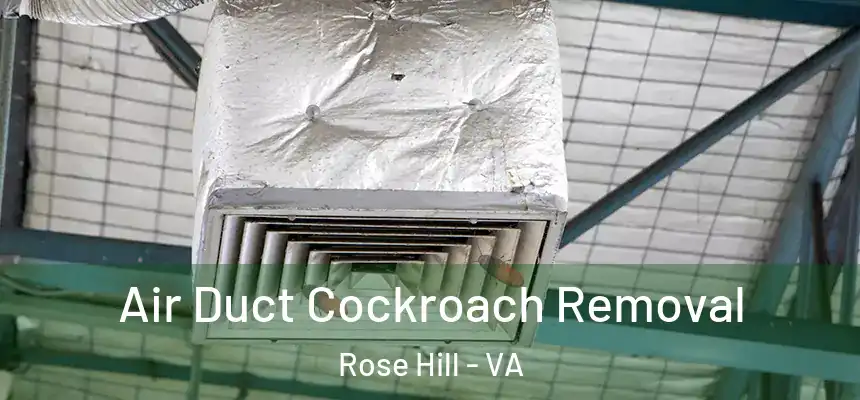  Air Duct Cockroach Removal Rose Hill - VA