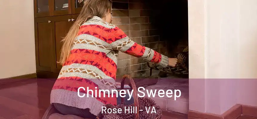  Chimney Sweep Rose Hill - VA