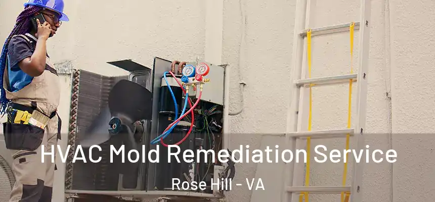  HVAC Mold Remediation Service Rose Hill - VA