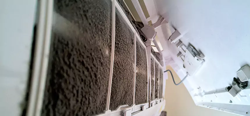 Preventive Air Duct Bacteria Removal in Rose Hill