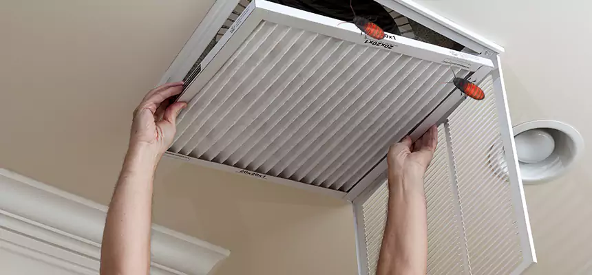 Preventive Cockroach-Proofing for Ducts in Rose Hill