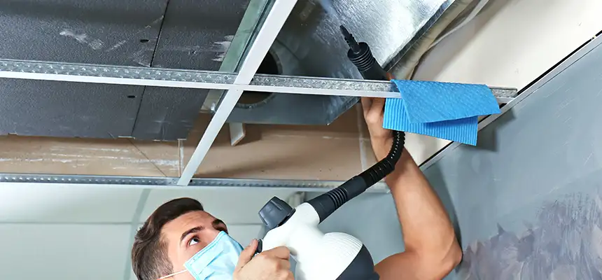 Our Air Duct Rodent Removal Services in Rose Hill, VA