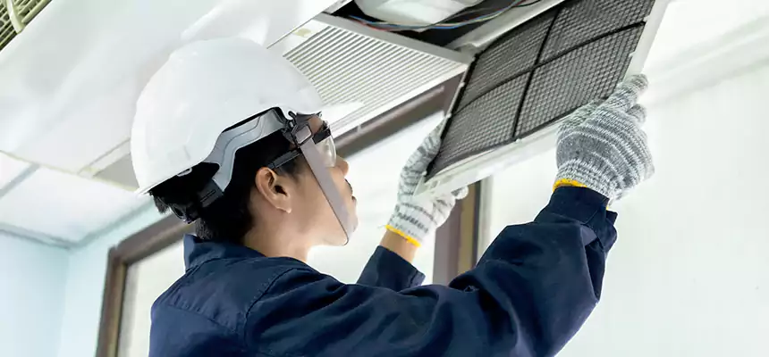 Our Mold & Mildew Removal from Air Ducts Services in Rose Hill, VA