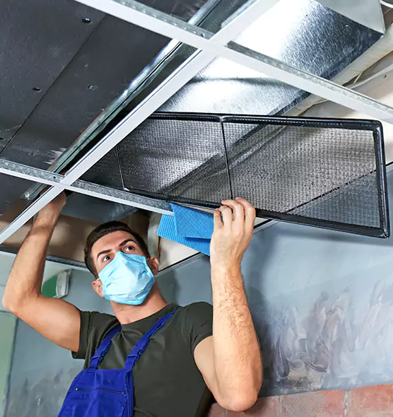 About Air Duct Bacteria Removal in Rose Hill