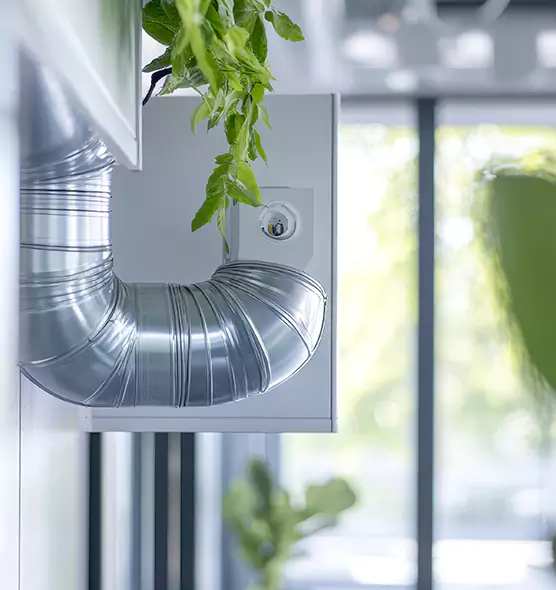 Professional Eco-Friendly Duct Cleaning Services in Rose Hill, VA