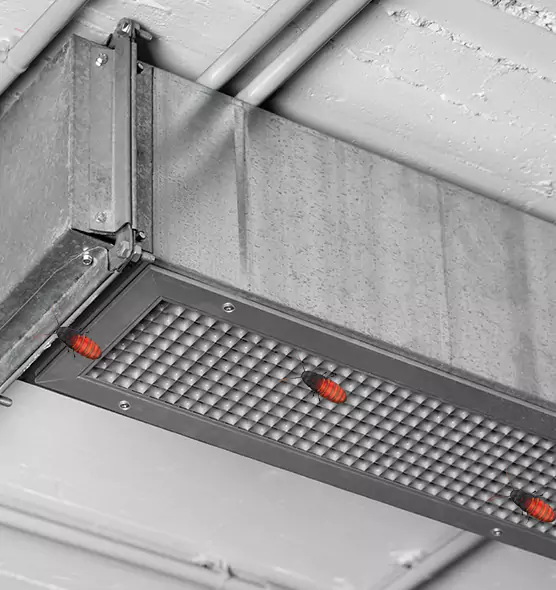 Affordable Insect Removal from Air Ducts in Rose Hill, VA