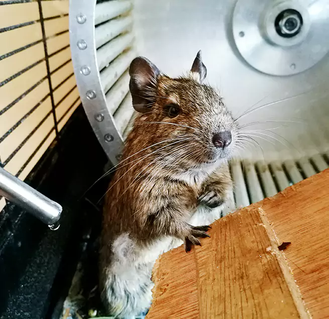 Why Homeowners & Businesses Trust Us Rose Hill, VA?