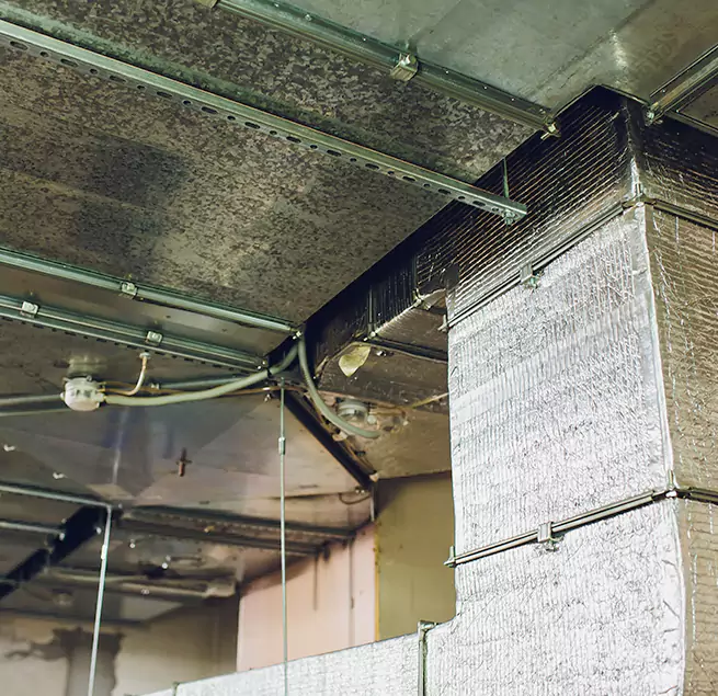 Why Homeowners & Businesses Trust Us in Rose Hill, VA?